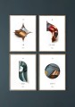 marlena-stawarz-plakat-ilustracja-4_elements-mockup-2_1400x2000